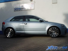 Audi A3 Singleframe