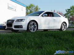 Audi S5 ESD Bearbeitung