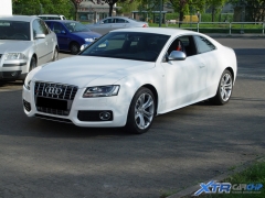 Audi S5 ESD Bearbeitung