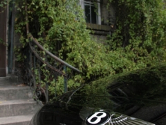 Bentley Softwareabstimmung
