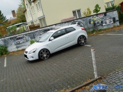 ceed_federn_01