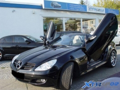 slk_verdeck_02