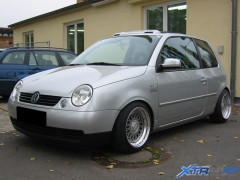 lupo_bbs_01