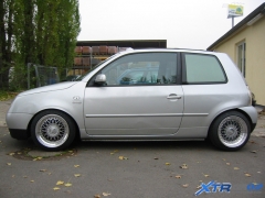 lupo_bbs_02
