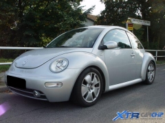 beetle_eco_01