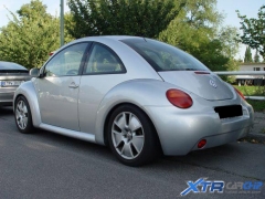 beetle_eco_02