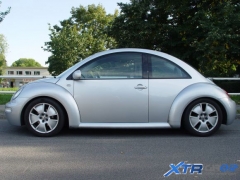 beetle_eco_03