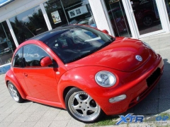 beetle_kennfeld_02