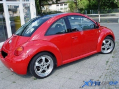 beetle_kennfeld_03