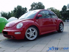 beetle_kennfeld_04