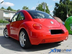 beetle_kennfeld_05